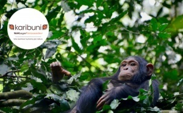 Rwanda, entre nature majestueuse et rencontres inspirantes avec Karibuni