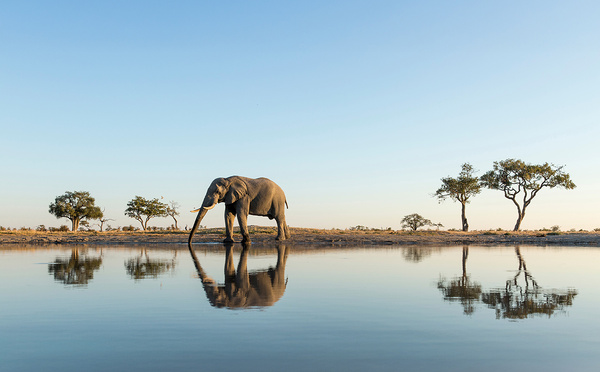 Safari-croisière en Afrique australe : CroisiEurope vous emmène aux confins du monde
