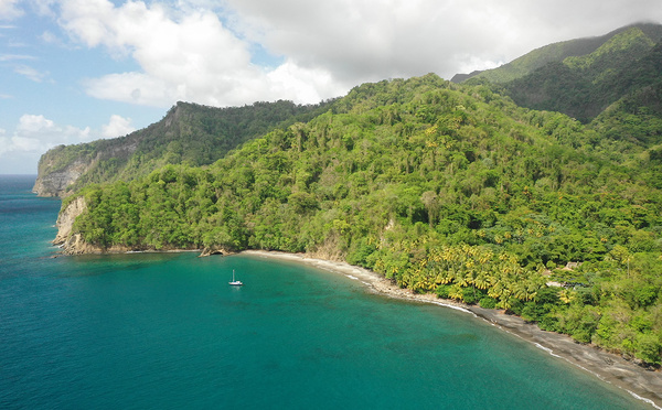 Le Mois des Agents de Voyages : retour sur une expérience 100 % Martinique