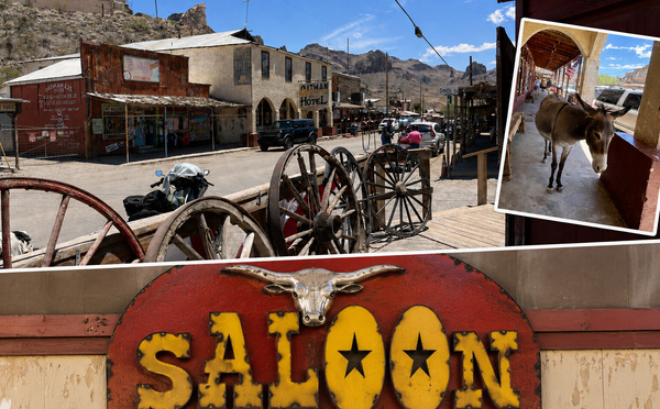 Route 66 : road trip en Arizona, d'Oatman à Scottsdale