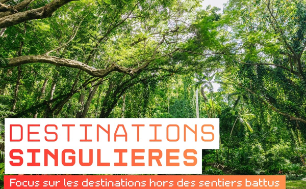 Destination singulière : les îles Fidji, paradis des mers du Sud [ABO]