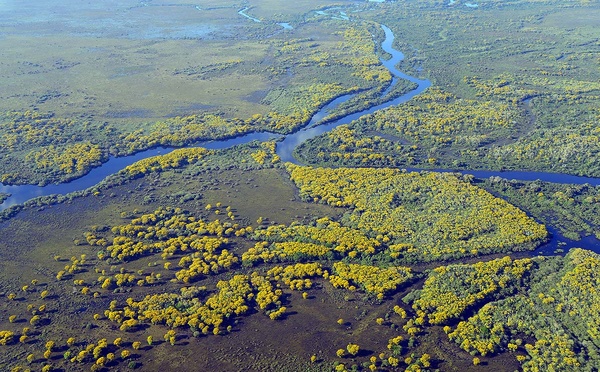 Pantanal : immersion sauvage au coeur d'une nature d'exception