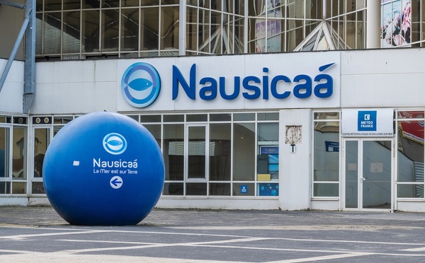 Nausicaá : près de 300 000 visiteurs cet été, une fréquentation stable en 2026