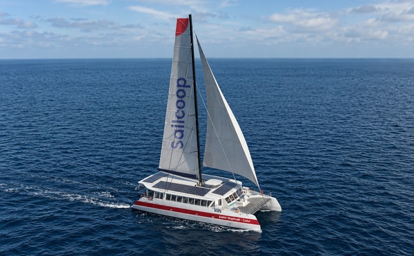 Sailcoop se rapproche du B2B avant le lancement de son ferry à voile