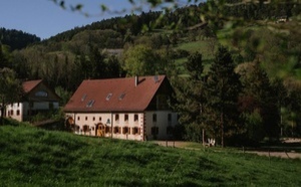 Groupe LK : Le Bois Dormant, nouvelle pièce de la diversification familiale