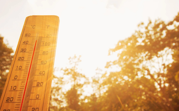 Canicule 2026 : la filière événementielle mesure son impact