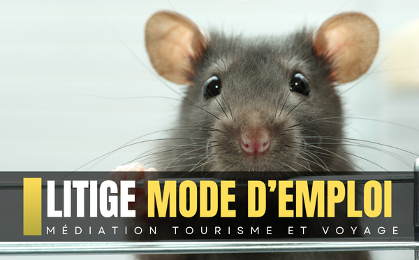 Vol annulé à cause d’un rat à bord : la compagnie doit-elle indemniser les passagers ? [ABO]