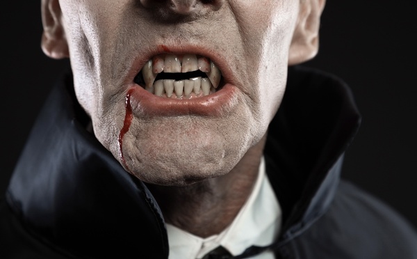Dracula Land : le projet roumain prépare sa phase de construction