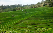 L'Asie en version originale avec Shanti Travel