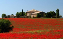  Le Couchant à Valensole propose des séjours bien-être avec une aromathérapeute - naturopathe - crédit photo : Gîtes de France