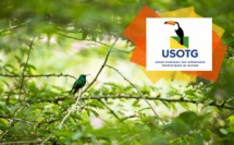 © CTG – Fenêtre sur l’Amazonie française  