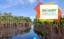 © Office de Tourisme des Savanes / Le Pripri de Yiyi à la Maison de la Nature de Sinnamary