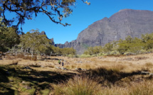 Voyage à la Réunion : les passagers auront l’obligation de transmettre leurs justificatifs au moins 6 jours avant leur déplacement - DR Photo CE Cirque de Mafate