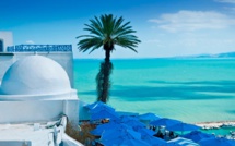 Voyage Tunisie : toutes les formalités et conditions d'entrée  - Depositphotos.com Auteur dasha11