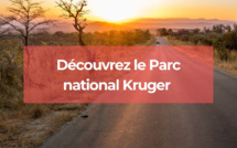 Découvrez le Parc national Kruger en Afrique du Sud