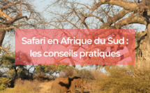 Safari en Afrique du Sud : les conseils pratiques Safari en Afrique du Sud : les conseils pratiques