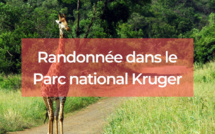 Randonnée dans le Parc national Kruger : itinéraires et conseils pratiques