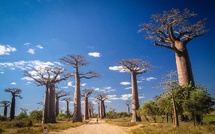 Albanie, Pologne, Madagascar : Aya Voyages élargit son horizon - Photo Depositphotos.com Auteur pawopa3336