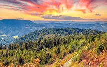 Découvrez Allemagne – Voyages en groupe avec we tours