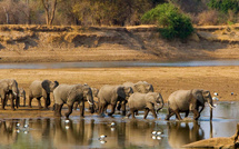 Zambie : Anantara ouvre un établissement dans le parc national de Kafue