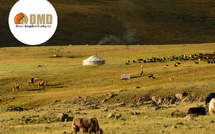 DMD Mongolie rejoint l'annuaire des DMC, DestiMaG