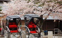 Japon : ANA propose des vols intérieurs gratuits aux voyageurs français