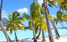 Île Maurice : immersion exclusive dans les établissements Marriott avec Kuoni