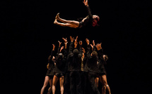 Aller voir par soi-même