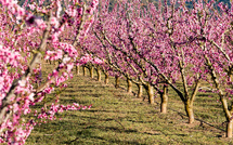 Tarragone – Lleida : À la rencontre de l’histoire