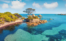 Croisières et circuits en Corse : proposez à vos clients une découverte de l’île avec Ollandini Voyages !