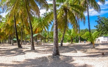 Guadeloupe : 6 expériences incontournables pour découvrir l'archipel (Guide 2026)