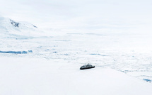 Ponant Explorations : réservations ouvertes pour le tour complet de l’Antarctique