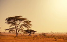 Salaün Holidays lance un challenge de ventes sur l’Afrique du Sud