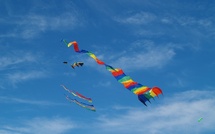 Les Rencontres Internationales de Cerfs-Volants font à nouveau décoller Berck