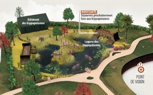 Zoo de La Flèche : 4 nouveaux lodges immersifs face aux hippopotames