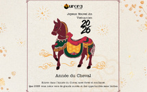 Vietnam 2026 : Quelles ressources pour optimiser vos ventes ?