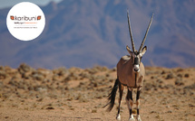 Namibie : le royaume des contrastes avec Karibuni