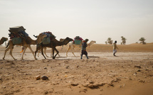 Maroc authentique : du désert du Sahara aux villes impériales avec NAGA Travel