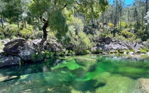 L'âme verte : pourquoi le Gerês est le secret le mieux gardé du Portugal