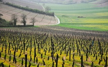 Le Grand Sancerrois lance officiellement sa stratégie de destination