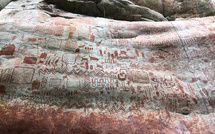 Un été en Colombie avec TERRA Colombia