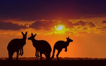 Tourism Australia ouvre les inscriptions pour G’Day Australia 2026 à Darwin