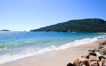 Florianópolis : entre élégance balnéaire et nature sauvage