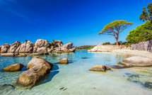 Séjours en Corse : Ollandini Voyages renforce ses partenariats pour rendre la Corse plus accessible