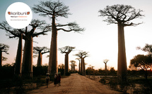 Madagascar, terre d’aventure hors des sentiers battus avec Karibuni