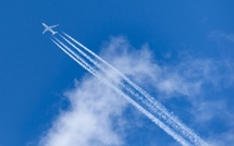 French bee dévoile son programme pour l’été 2026