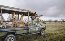 Entre safari côtier et patrimoine swahili : les deux adresses emblématiques de Tanganyika Expeditions