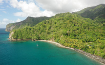 Le Mois des Agents de Voyages : retour sur une expérience 100 % Martinique