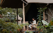 Sel de montagne et épices des îles : un voyage à travers la Thaïlande et le Sri Lanka