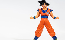 Un parc Dragon Ball pourrait voir le jour dans le Val-d’Oise